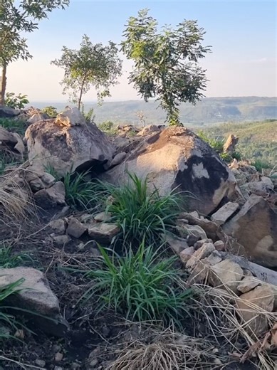 Farming in Rocky Terrains: Dr. Daniel's Approach