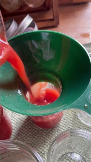 Canning Farm Fresh Tomato Sauce