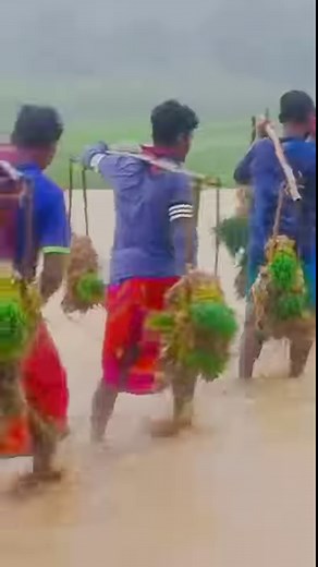 Panchi Bandi_2 // huru rohoy #new #reels #video | Shilbasten Marandi