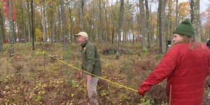 Kingsford environmental science students take lesson outdoors to Wisconsin forest