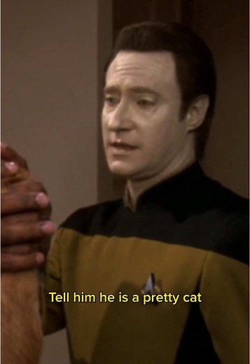 Spot the Cat: Caring for Star Trek's Feline Friend
