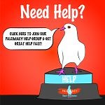 How & When to Feed a Pigeon (or Dove) Who Isn’t Eating -