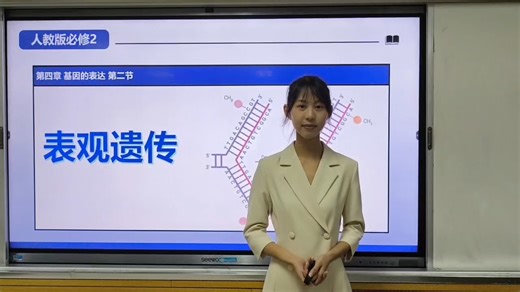 田家炳国一初赛说课 表观遗传必修二 基因表达与性状的关系