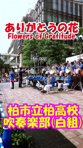 「ありがとうの花(Flowers of Gratitude)」NHK『おかあさんといっしょ』より＜千葉県柏市立柏高校吹奏楽部(白組)@千葉県柏市＞[2026-09-05]c