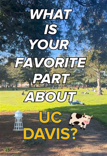 Discover Life at UC Davis: A Student's Journey