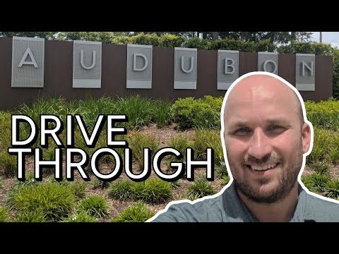 Audubon Magnolia TX Neighborhood Tour | Best New Homes in Magnolia 2025