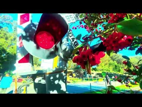 *New train and signals* sf zoo little puffer train railroad crossing video 2