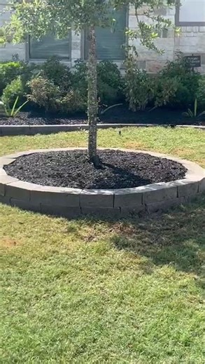 Real backyard transformation