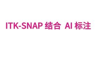 ITK-SNAP AI 标注教程