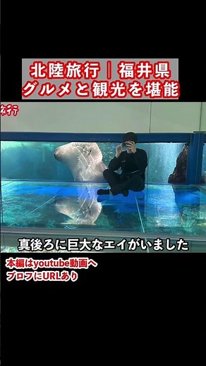 [Fukui Trip] My 2-night, 3-day trip exploring Fukui Prefecture's gourmet food and tourist spots w...