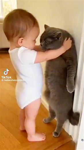 Twiggy (@twiggy4516)’s videos with original sound - Twiggy