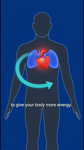 Your Brain on Stress Fight or Flight Explained.