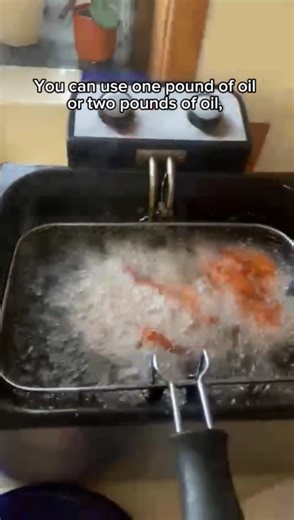 Watch Electric Deep Fryer Perfect for Fries & Chicken on Amazon Live