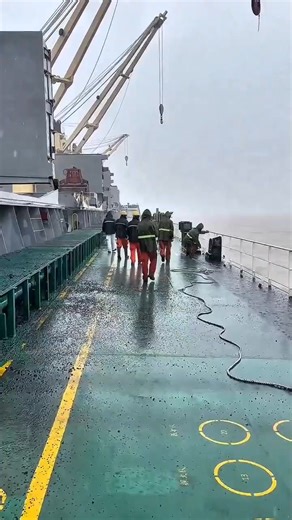 Transhipment #fyp | gogogoyss