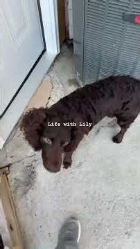 She messing around in the yard