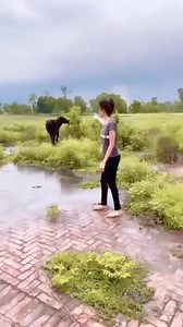 Shilpi Raghwani | Shilpi Raghwani