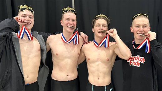 District 10 swimming meet: Fairview relay drops multiple seconds and gains major medals