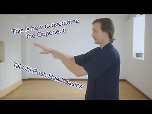 Wudang Tai Chi Push Hands Basics Tutorial