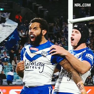 Looking back at the best of the Foxx in 2022! 🐶 | NRL