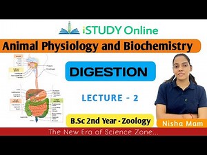 Digestion | lect-2 | Animal Physiology and Biochemistry | Zoology | B.Sc 2nd Year | iSTUDY Online