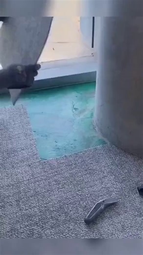 Genius carpet installation trick most pros don't know