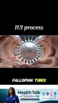 Struggling to Conceive? IUI (Intrauterine Insemination) Could Be the Answer! #pregnancy