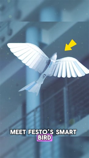Are Robot Birds Taking Over? Inside Festo’s SmartBird Innovation Festo’s SmartBird mimics real bird flight using lightweight materials, AI control, and efficient aerodynamics. This breakthrough shows how bio-inspired robotics can transform drones, surveillance, and future aviation by reducing energy use while increasing agility and precision. #robotics #futuretech #innovation #technology #Ai Credits : FestoHQ / yt | Classic News