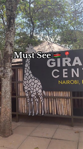 Must see in Kenya 🇰🇪 📍 Giraffe Centre 🦒 Rothschild’s giraffe “The rich giraffe” 🌍 Lang’ata Surburb #tourism #tourist #traveltiktok #kenya #viral