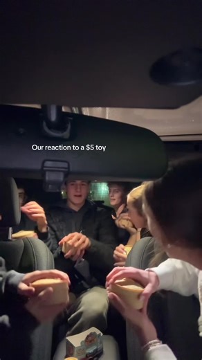 Our Honest Reaction to a $5 Toy Review