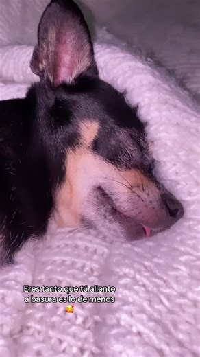 Abril Navarro Montañ on TikTok