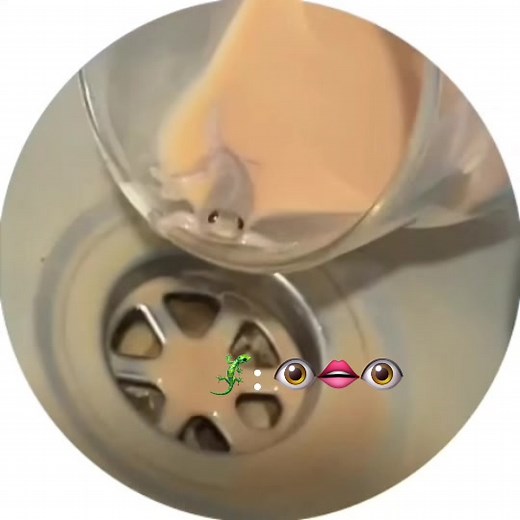 Lizard in My Cup: Cute Encounter with a Sippy Cup Visitor