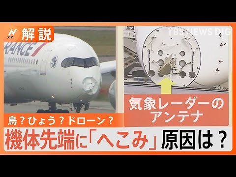 パリ行きの旅客機機体に大きな“へこみ” 一体何が？考えられる原因は「バードストライク」【Nスタ解説】