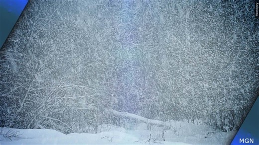 Schools, government offices close due to heavy snow