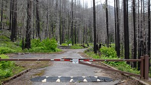 See restoration work at Opal Creek recreation sites after 2020 Labor Day wildfires