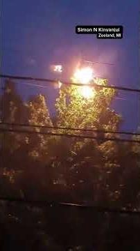 Caught on camera: tree branch sparks power line fire in Zeeland