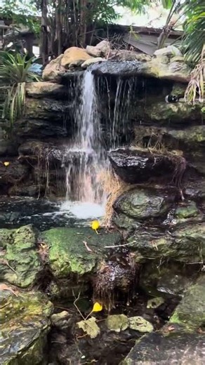 33 Seconds With a Mysterious Orb of Light At A Tropical Botanical Garden #tranquility #presence