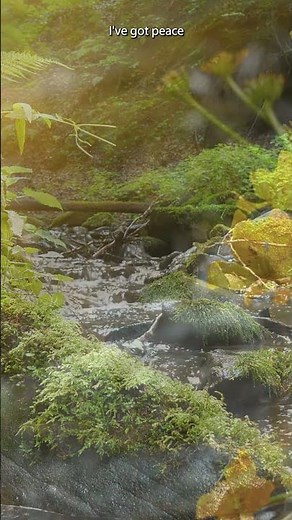 Peace Like a River 🎶 Uplifting Hymn Moment #ChristianMusic