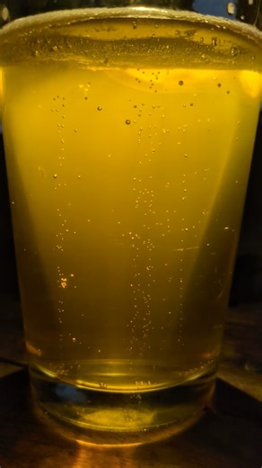 Here's a question for my scientific notes: will a short video of the bubbles in my beer from my favorite dive bar on a Friday night in Texas get any response? 😃 | Traces of Texas