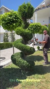 Brushing | Mowing | Landscaping | Cleaning | Edging | Hedging #shorts #satisfying #gardening