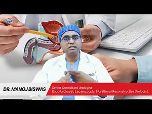 What is Prostate? | Symptoms, Diagnosis and Treatment of Prostate Enlargement