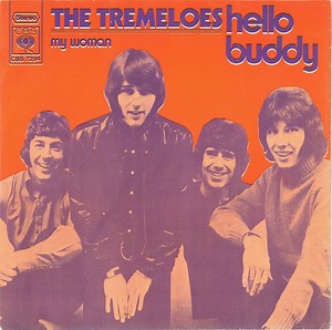 The Tremeloes - Hello Buddy