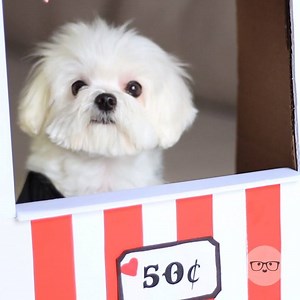 Milo's Kissing Booth is open for business but where are all the customers? Click here for the FULL vid --> http://bit.ly/1Wfz1LX | Milo Meets World