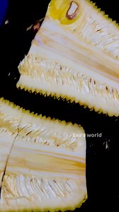 10K views · 19 reactions | Eva’s world on Reels | Facebook