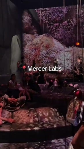 Mercer Labs
