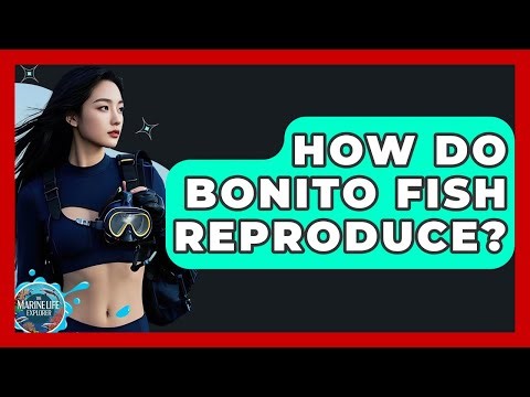 How Do Bonito Fish Reproduce? - The Marine Life Explorer