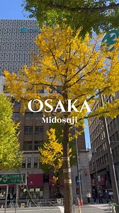 Midosuji Street from autumn to winter🍂⛄ As autumn arrives and winter approaches, you can enjoy the changing colors of the ginkgo trees and the winter illuminations along Midosuji Street in Osaka🤗 Osaka Festival of the Lights 2025 is one of Osaka’s top annual winter light festivals🥳 Extending 4 km through the city between Osaka Metro’s Umeda and Namba Stations, Midosuji Illumination is grand in scale and perfect for Instagram📸✨ ✨Osaka Festival of the Lights 2025✨ 📅 2025-04-09~2025-12-31 ⏰ Fr