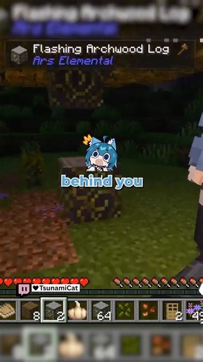 TsunamiCat on Instagram: "ARIES TRIED TO SACRIFICE ME AGAIN 😭 #gaming #funny #minecraft #minecrafthorror #streamer"