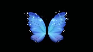 3d Animation Butterfly Video Background Stock Footage Video (100% Royalty-free) 1107870921 | Shutterstock