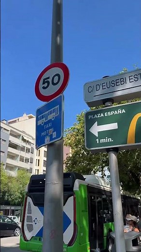 Sightseeing Palma de Mallorca #travel #trendingshorts #island #mallorca #sun #building #citytrip