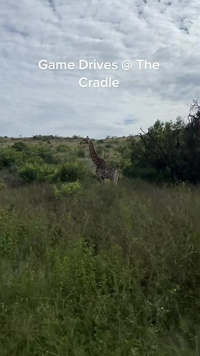 Cradle Boutique Hotel on TikTok